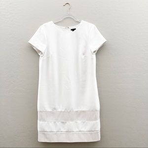 Ann Taylor Women's Faux Leather Banded Shift Dress Ivory Short Sleeve 12